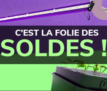 soldes-Culture-Indoor