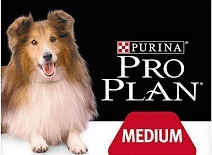 💥 Meilleures croquettes chiens 2021 - guide du0027achat et comparatif